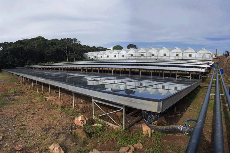 Solar-water-heaters-beiing-used-for-horticulture-at-wagagai-flower-farm-for-green-houses-in-lwakakasenyi-entebbe-Uganda